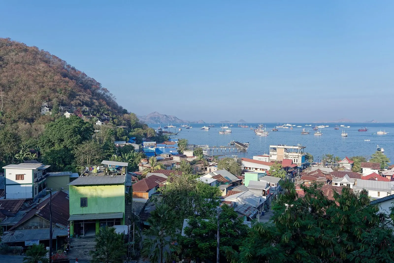 The harbour of Labuan Bajo, Flores