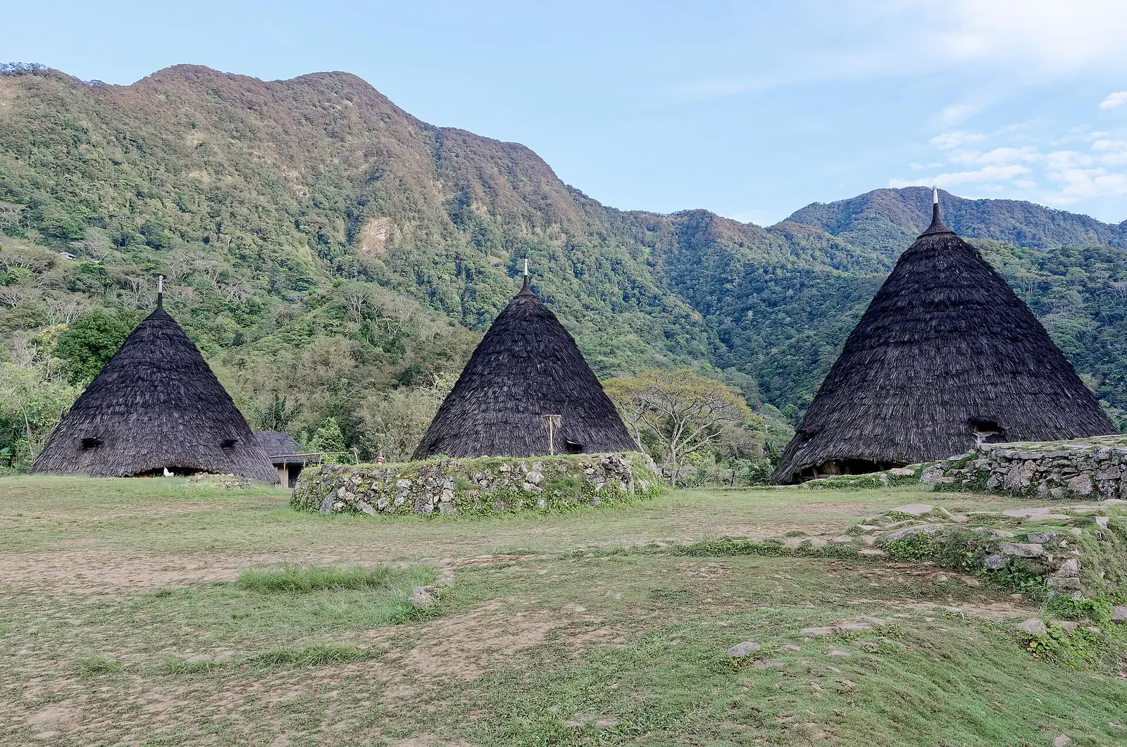 The cone-shaped houses of Wae Rebo village in the mountains of Flores